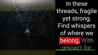 Lessons from a Spider's Web
