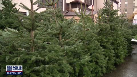 El Centro de la Raza Tree Sale FOX 13 Seattle