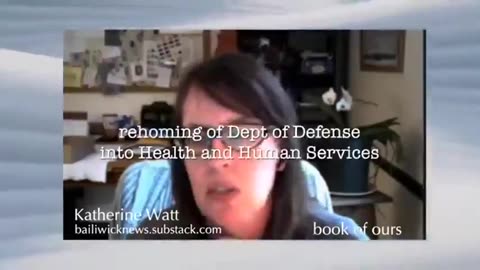 Katherine Watt Explains the ongoing use Of Bioweapons by The Military on Civilians