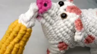 Macrame Pig!!