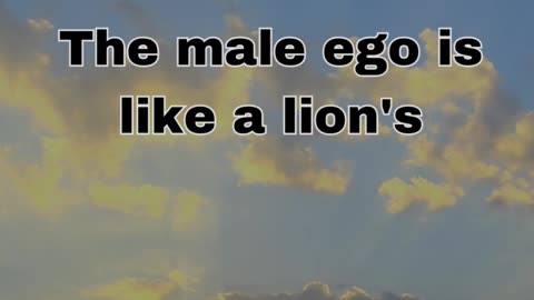 The Complex Male Ego: Navigating Emotions