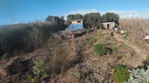 Little island of greenish - 4 years into growing a food forest in Portugal