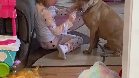 A Very Patient Pup Puts Up With Daughter's Fashion Show