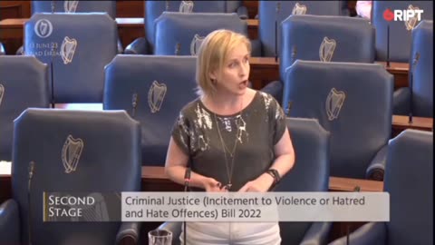 IE: Pauline O'Reilly From The Green Party Weighs In On The "Hate Speech" Debate