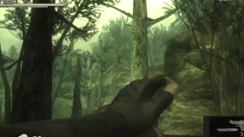 Metal gear solid 3 snake eater sneaking up on the end