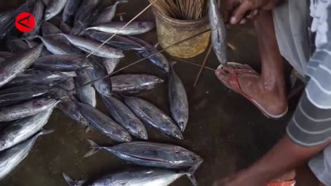 Seeing the Cakalang Fufu production process in Gorontalo