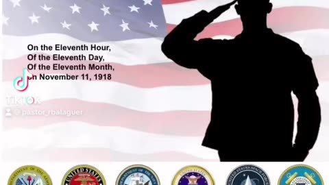 Veterans 🧑‍✈️ Day 🇺🇸 Salute 🫡 #REBTD😇