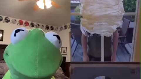 Kermit funny videos september