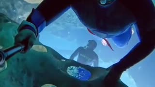 Diving in submarine caves without oxygen..