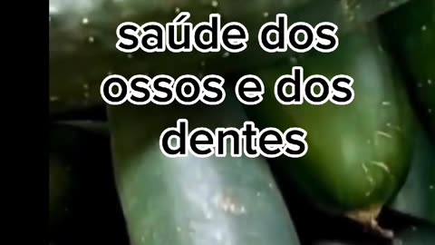 Plantas e Frutas Medicinais