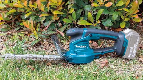 Best 5 Electric Grass Shears ( Top 5 Electric Grass Shears )