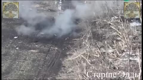 Ukrainian troops hit by RAF artillery