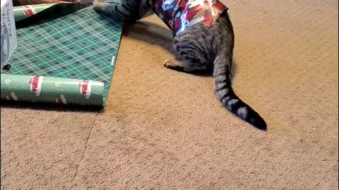 Wobbly Cat Helps Wrap Presents