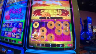 All Aboard Piggy Pennies And Dynamite Dash Slot Machines Play Fun Bonuses!