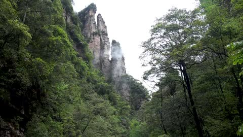 "Avatar" Mountain & Wulingyuan Scenic Area