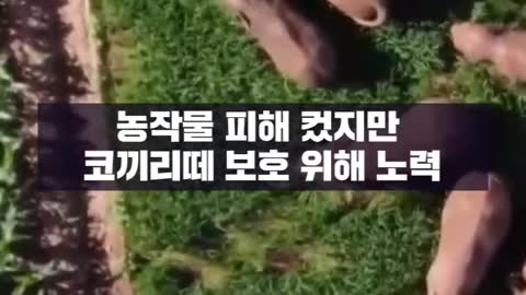 다시 집으로... 무사히 잘 도착했다니 다행!!!