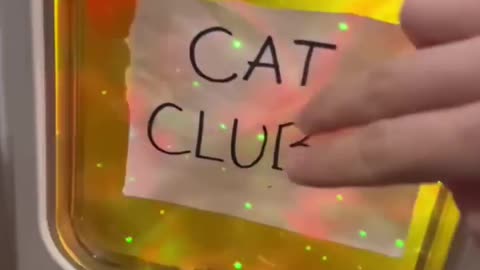 Cat club! 🙀🙀
