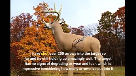 Customer Comments: Shooter Buck 3D Deer Archery Target