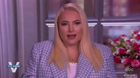 Meghan McCain warns Democrats not to attack DeSantis