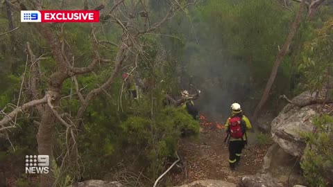 Sydney preparing for bushfire season | 9 News Australia