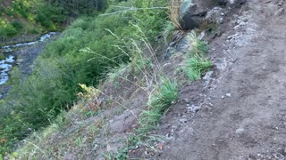 Oregon – Mount Hood – Hiking Above a Mountain River – 4K