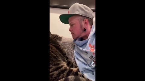 kiss your cat on the head and see their reaction Trend