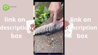 Stainless Steel Fish Skin Brush Fast Remove Fish(by 1 free1)