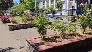 A 1910 School and a couple of parks nearby