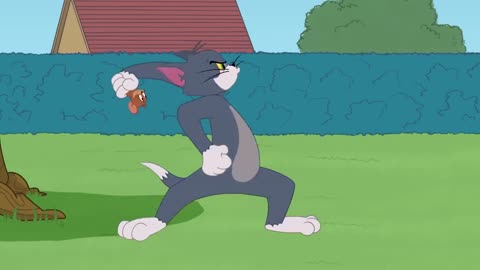 Best funny videos Tom and Jerry