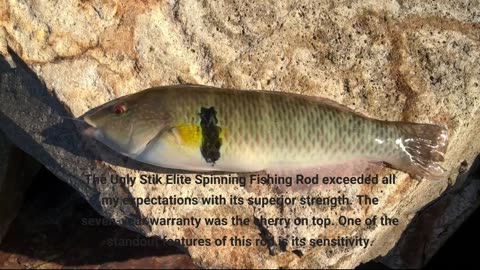 Buyer Feedback: Ugly Stik Elite Spinning Fishing Rod