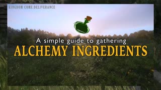 KINGDOM COME:DELIVERANCE|I CREATED A SIMPLE GUIDE FOR GATHERING ALCHEMY INGREDIENTS.