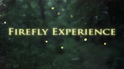 OLD SCHOOL MEMORIES | THE FIREFLY EXPERIENCE