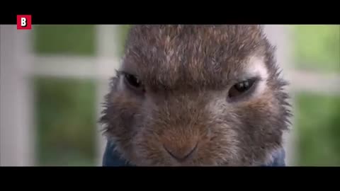 Man Fights Rabbit - BATTLE SCENE - Peter Rabbit - Clip_Cut