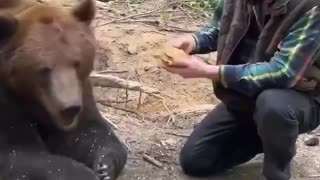 BEAR KNOWS WHAT IS FOOD