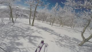 3/14/19 village tree skiing great powder