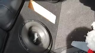 (4) Skar Audio ZVX-8" Subwoofers Banging in a Ford F-150 Crew Cab