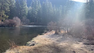 The Perfect Fly Fishing Spot at Allen Springs – Metolius River – Central Oregon – 4K