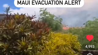 New Maui Evacuation Alert !