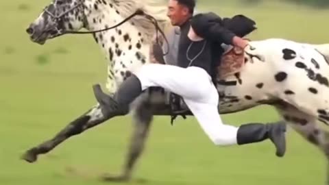 Horse rider