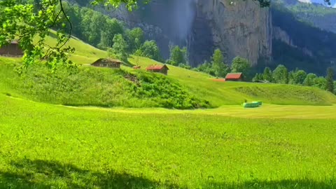 Beautiful and peaceful 🌱 🎥