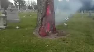 Tree in a graveyard hit by lightning