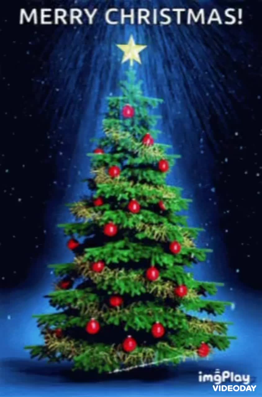 Christmas Tree Gif! 🎄