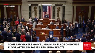Some Lawmakers Waive Ukraine Flags On House Floor, Luna Tells Them To 'Put Those Damn Flags Away
