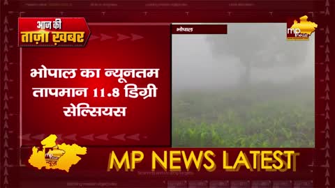 नए साल में MP में पड़ेगी कड़ाके की ठंड, जनवरी शुरू होगी शीत लहर! MP News Bhopal