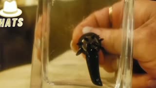 Ferrofluid