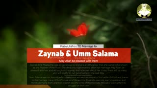 Rasulullah's ﷺ Marriage To Zaynab Bint Khuzayma and Umm Salamah - Imam Anwar Al-Awlaki
