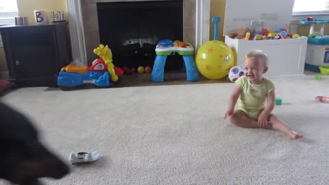 Dog play with baby funny