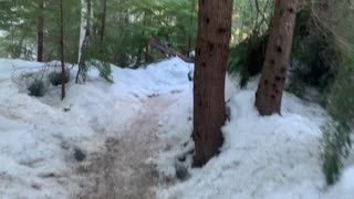 Cold River Ice Trail – Tamanawas Falls – Mount Hood – Oregon – 4K