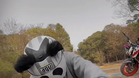 Funny dance #with helmet