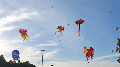 Watch kite flying in Vietnam.